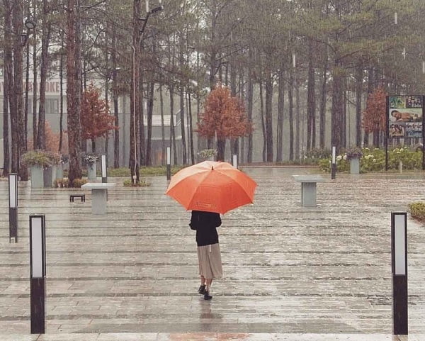 Kinh nghiệm du lịch Đà Lạt cần lưu ý gì? Du lịch Đà Lạt mùa mưa